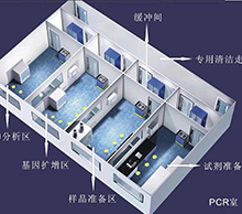 PCR實驗室公司