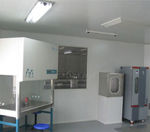 P2實驗室公司